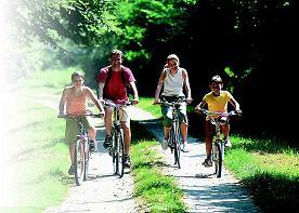 Ballades &agrave; v&eacute;lo le long de la S&egrave;vre